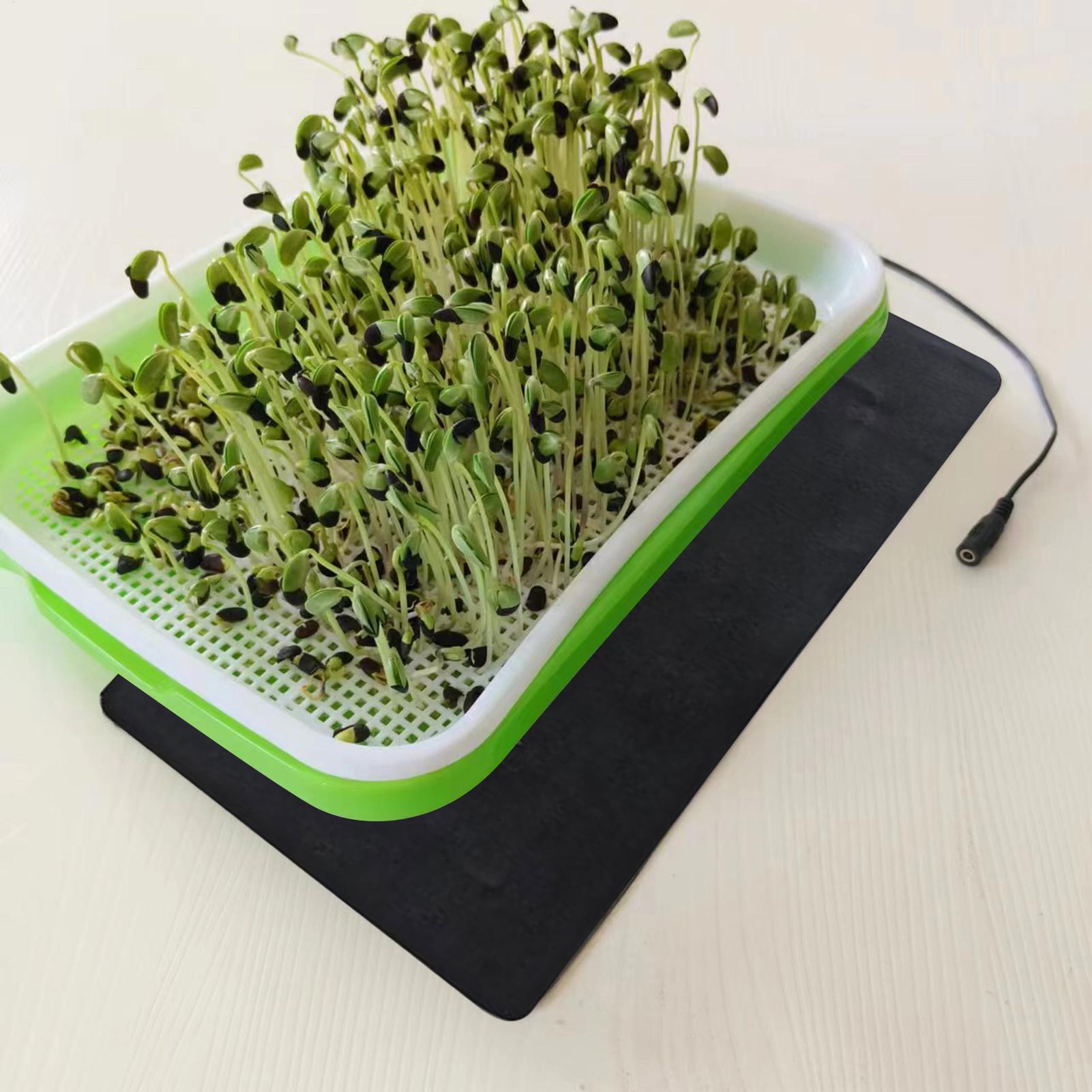 Plant Seedling Heating Mat Ind - Seedling Heat Mat ulasan dan harga